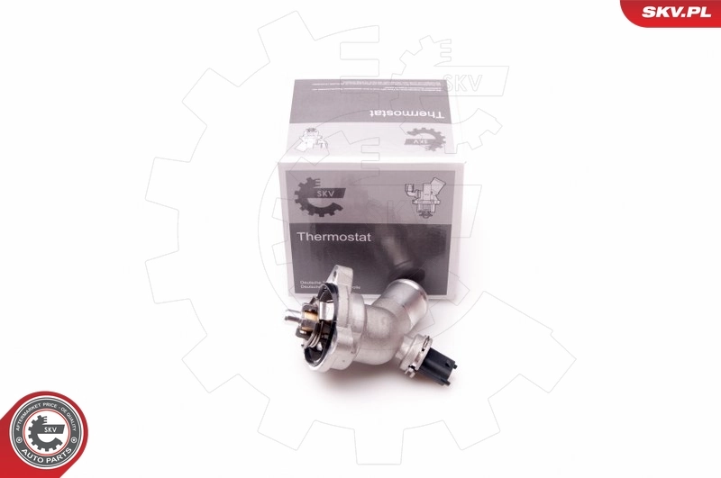 Thermostat, coolant